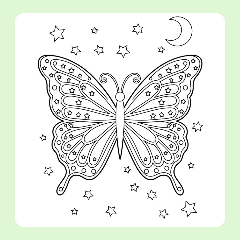 con bướm tô màu