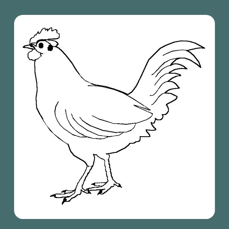 con gà trống tô màu