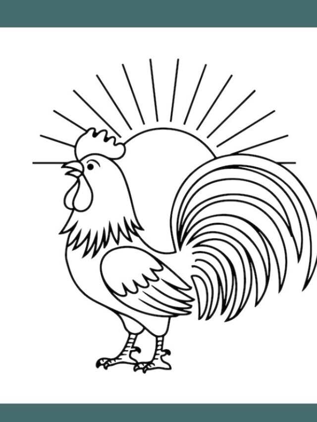 tô màu con gà trống (19)