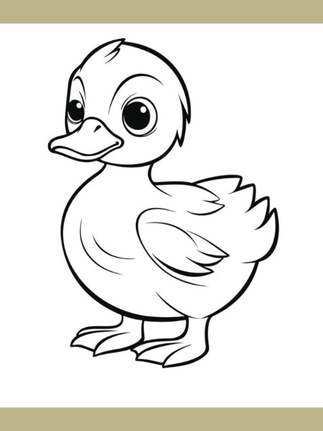 tô màu con vịt (4)