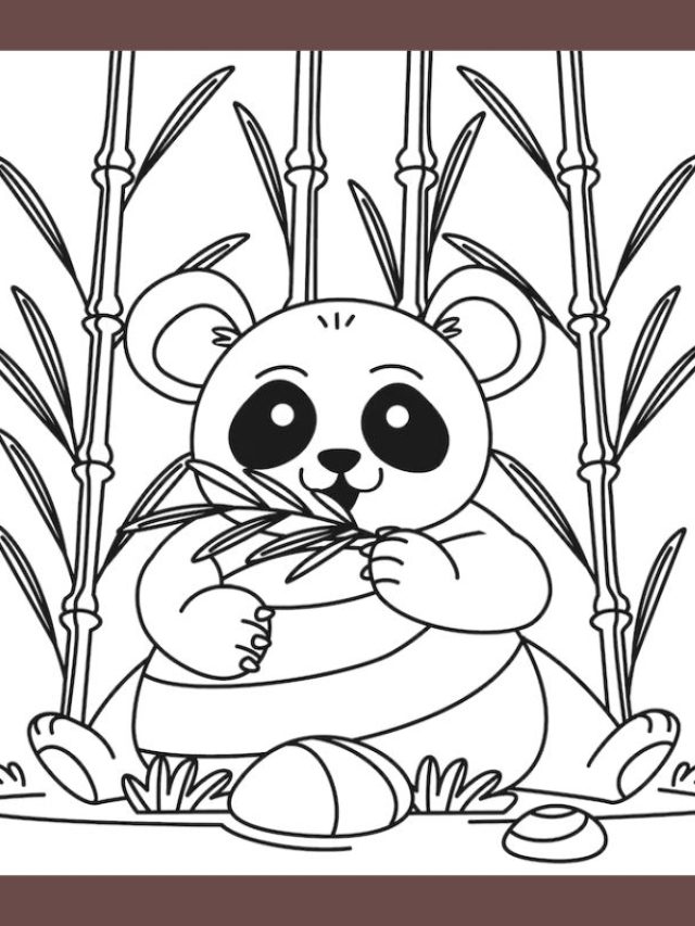 tô màu gấu trúc (12)