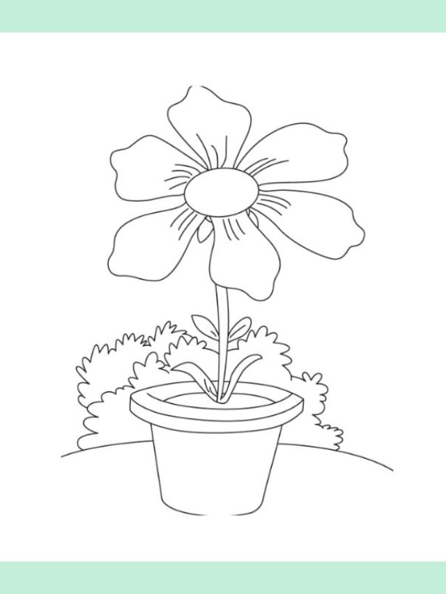 tranh tô màu bông hoa 6 cánh (22)