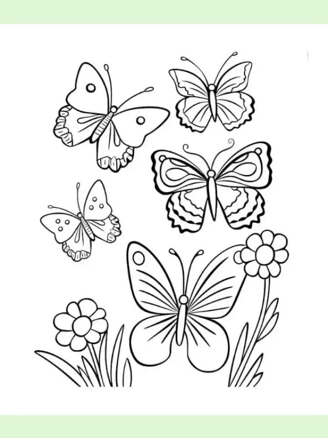 tranh tô màu con bướm đẹp