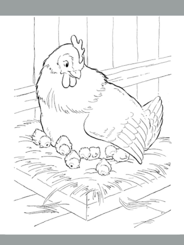 tranh tô màu con gà mái 26