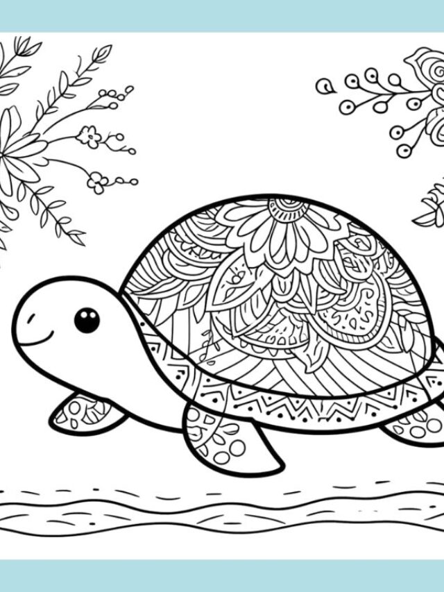 tranh tô màu con rùa (20)