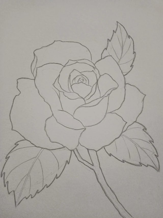 tranh vẽ hoa hồng 33