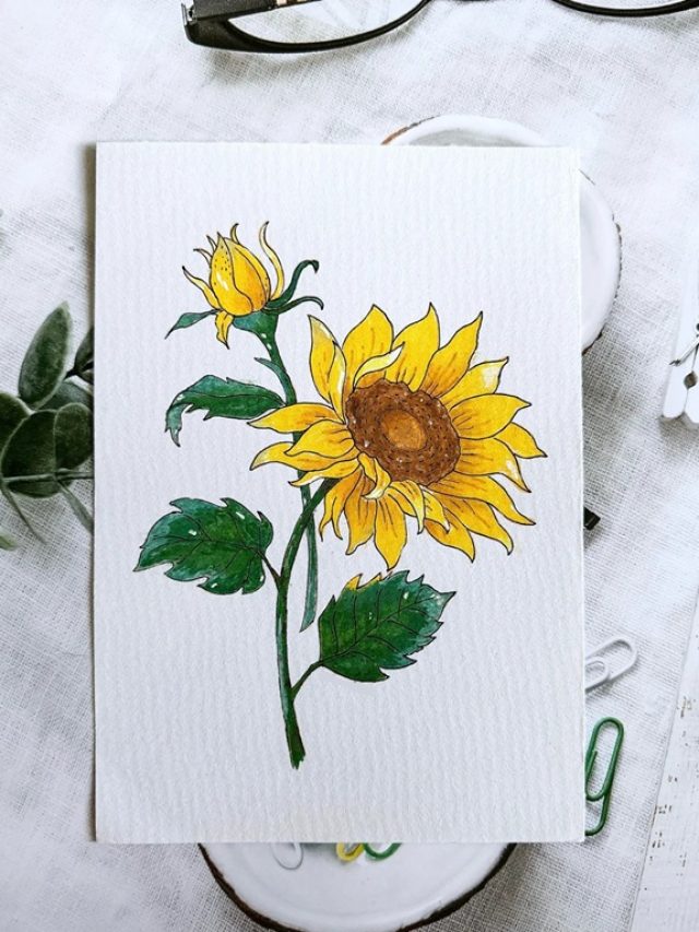 tranh vẽ hoa hướng dương 18