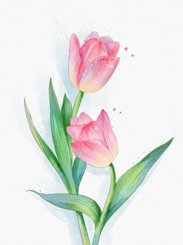 tranh vẽ hoa tulip 27