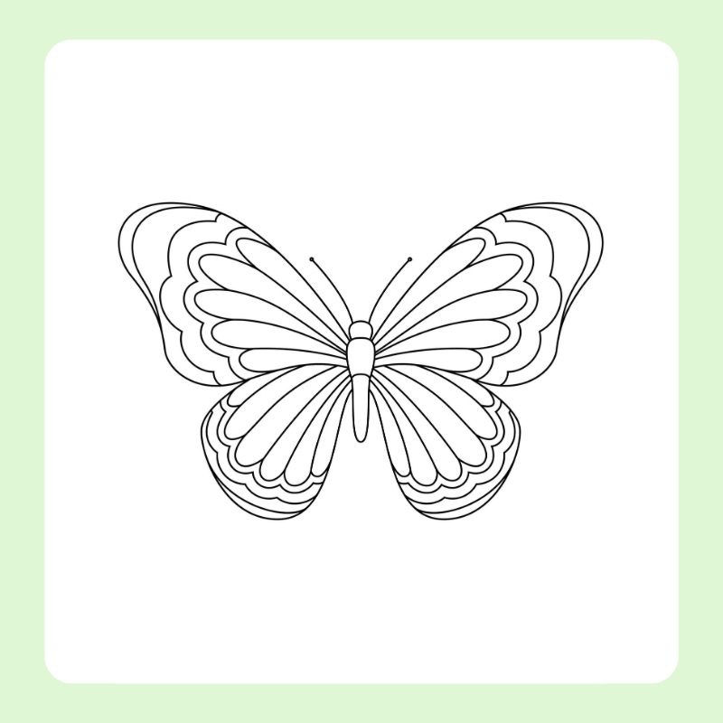 hình ảnh con bướm tô màu