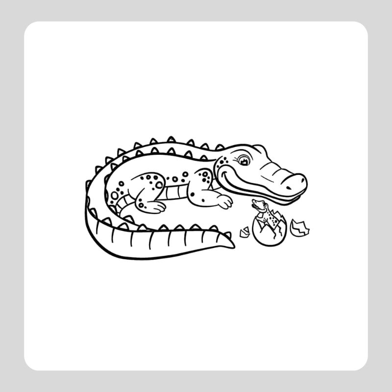 tô màu cá sấu (24)