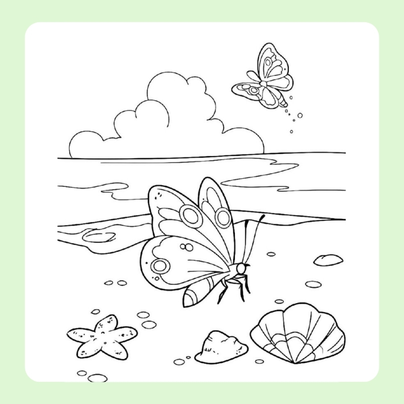 tô màu con bướm 11