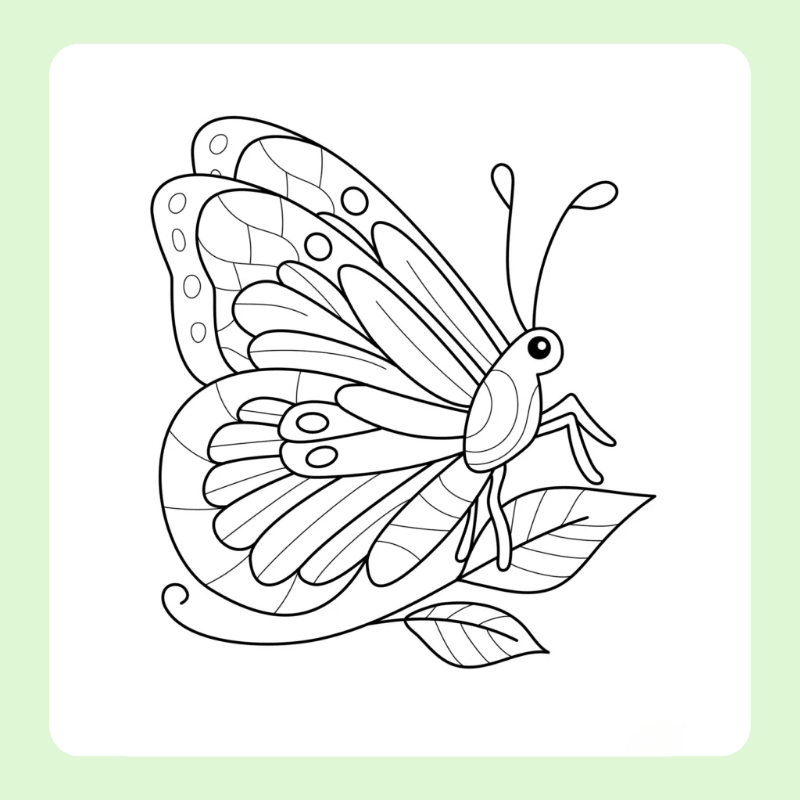 tô màu con bướm 3