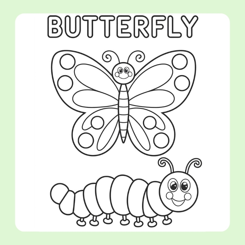 tô màu con bướm 8