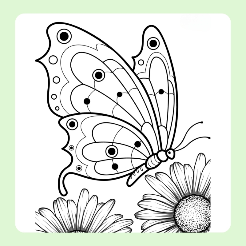 tô màu con bướm đơn giản