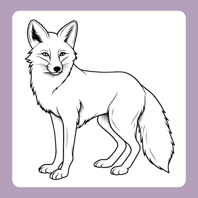 tô màu con cáo (1)