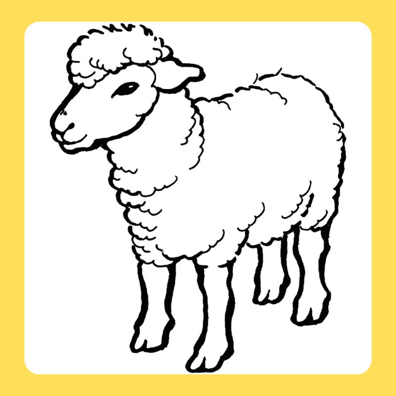 tô màu con cừu (1)