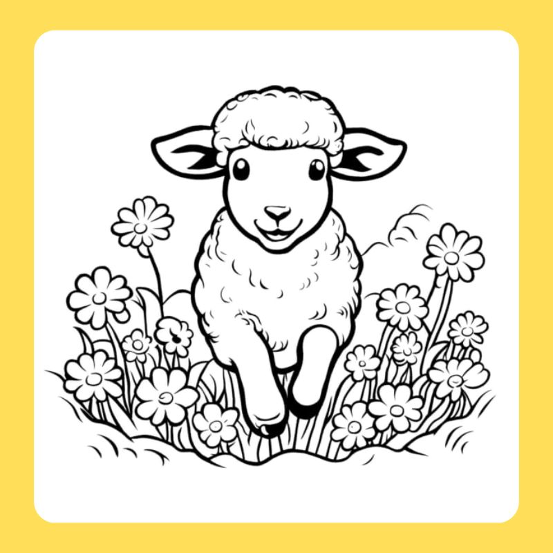 tô màu con cừu (21)