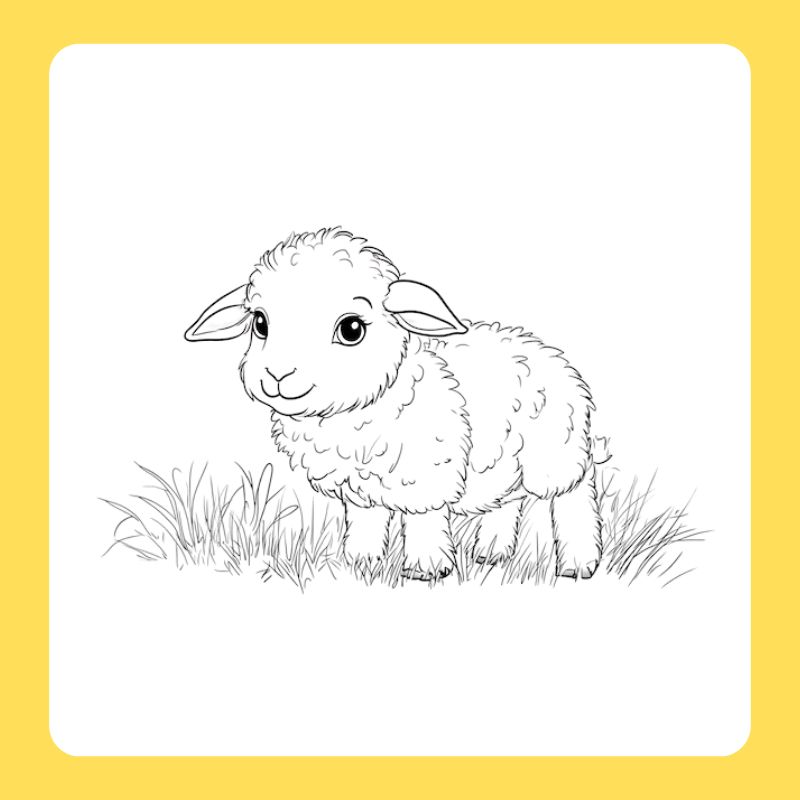 tô màu con cừu (25)