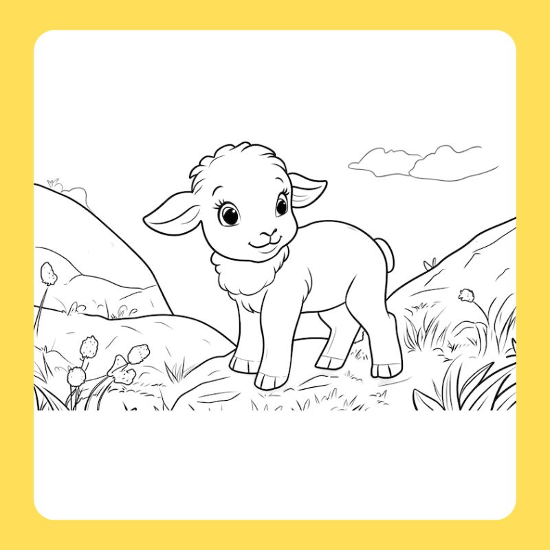 tô màu con cừu (26)