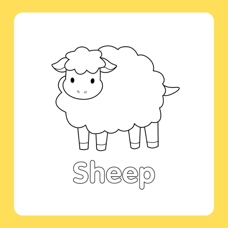 tô màu con cừu (3)