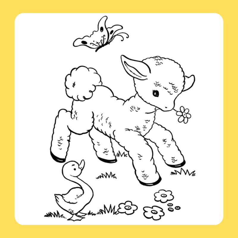 tô màu con cừu (8)