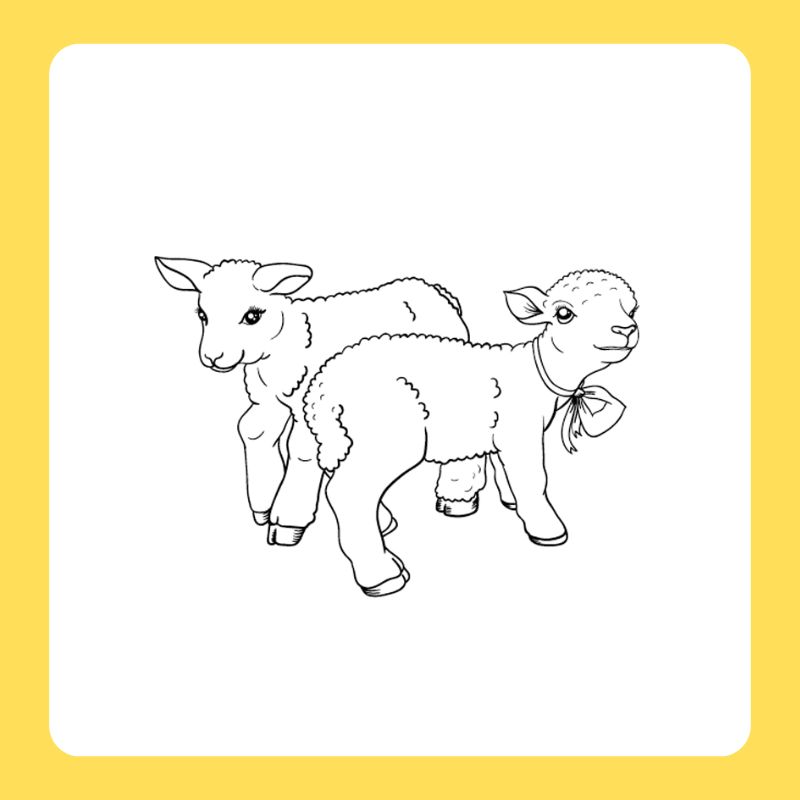 tô màu con cừu (9)