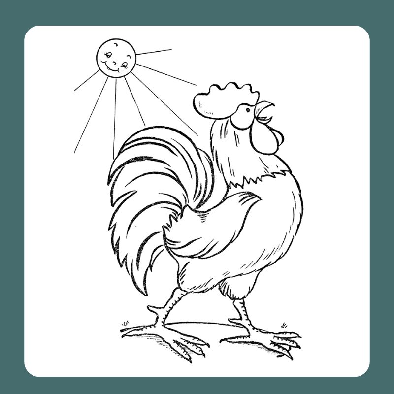 tô màu con gà trống (1)