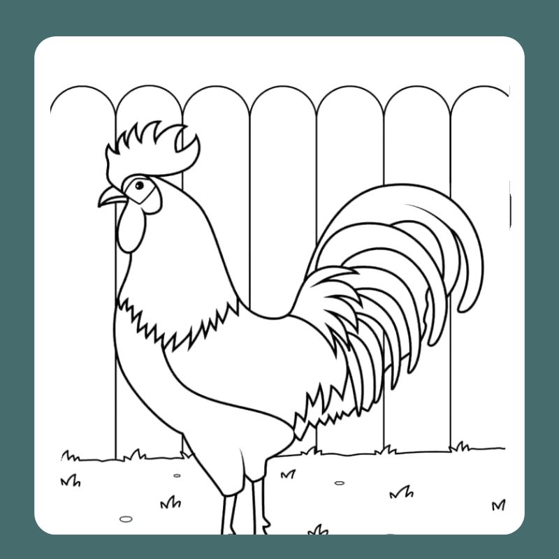 tô màu con gà trống (13)