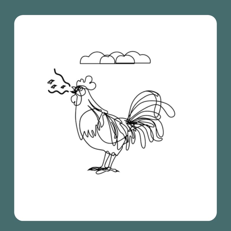 tô màu con gà trống (16)