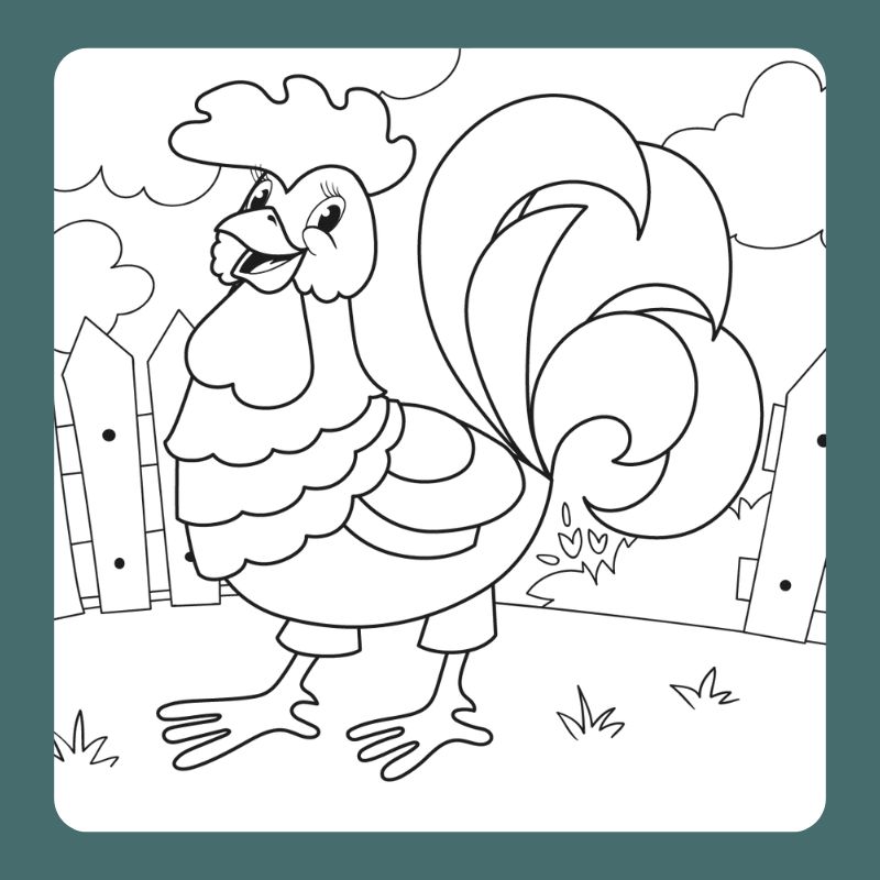 tô màu con gà trống (21)