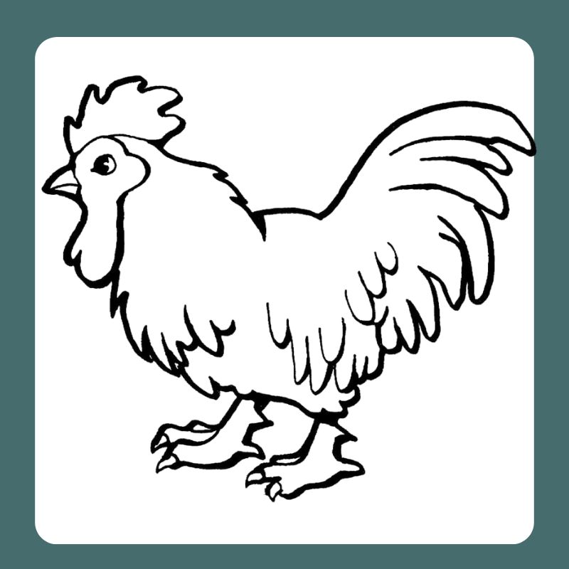 tô màu con gà trống (23)
