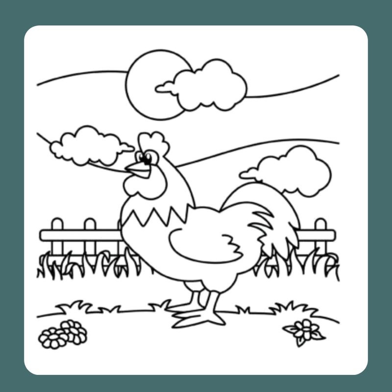 tô màu con gà trống (25)