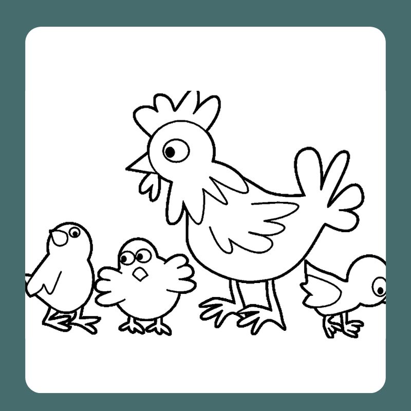 tô màu con gà trống (27)