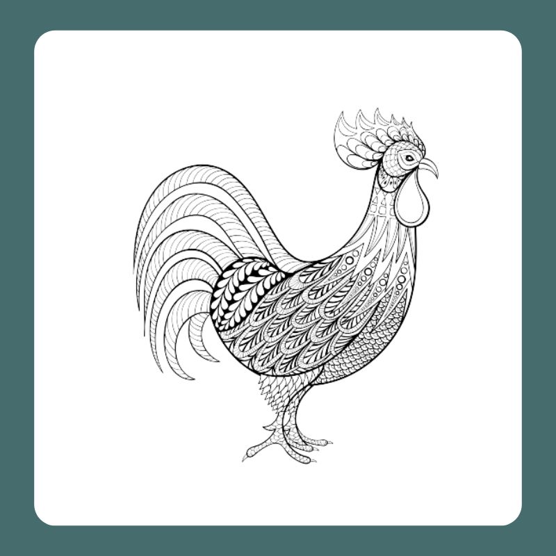 tô màu con gà trống (7)