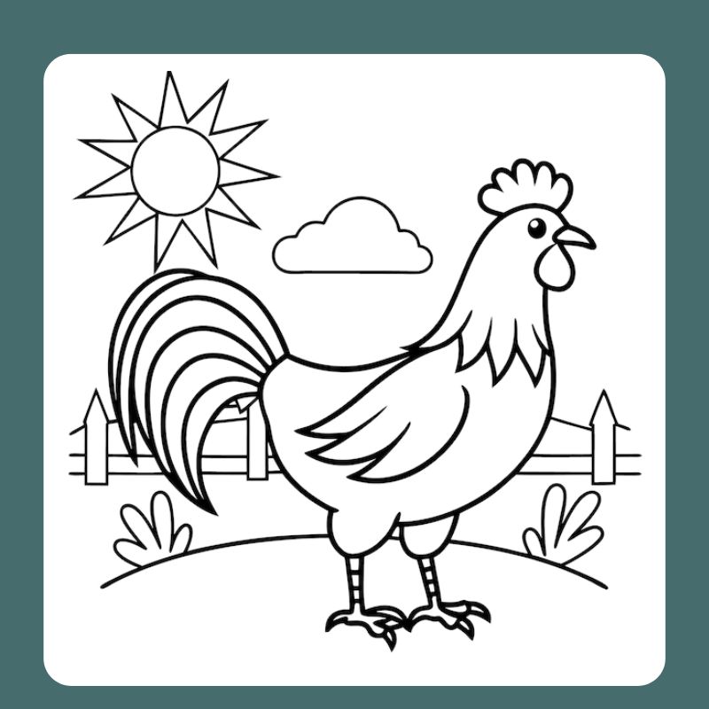 tô màu con gà trống (8)