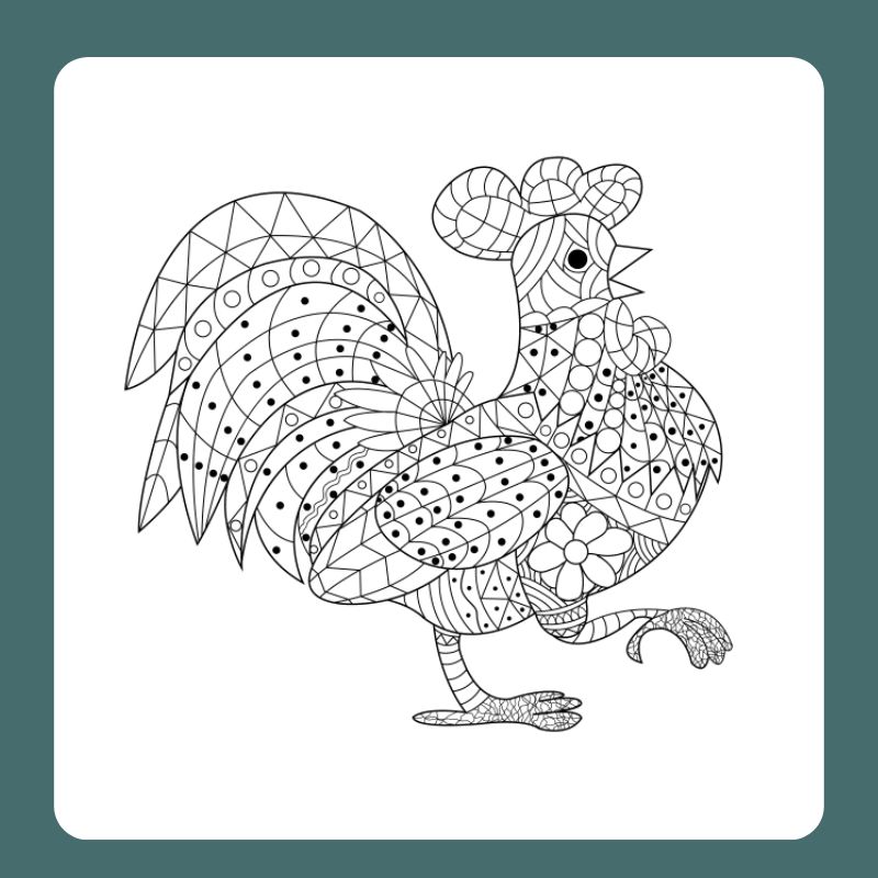 tô màu con gà trống (9)