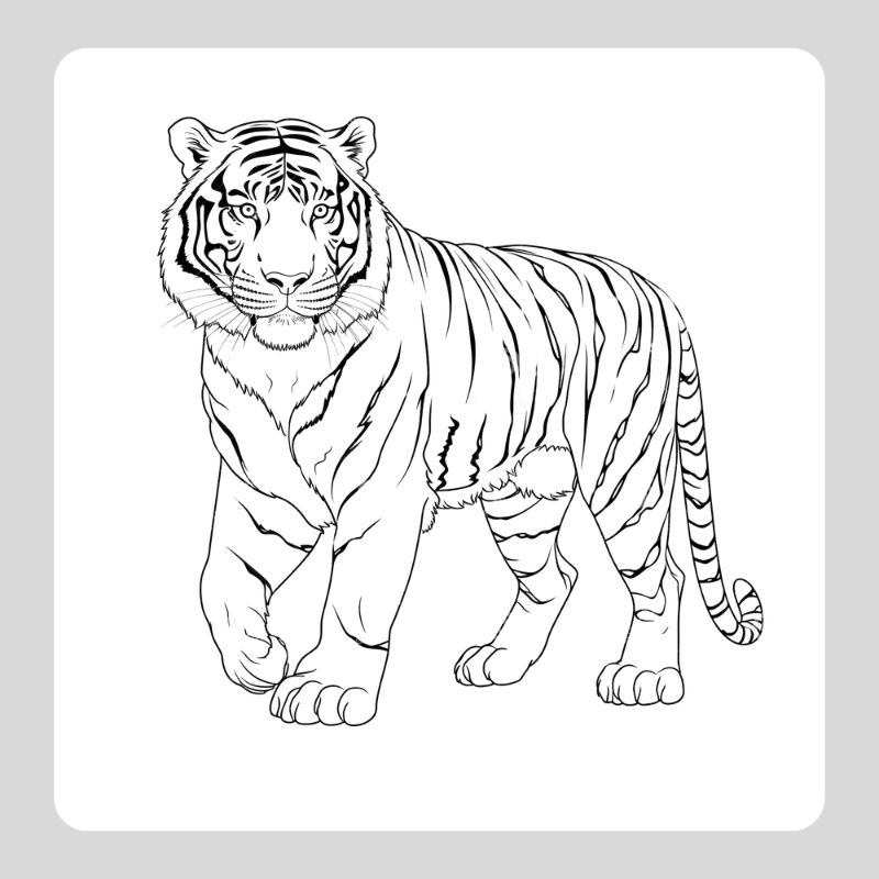 tô màu con hổ (7)