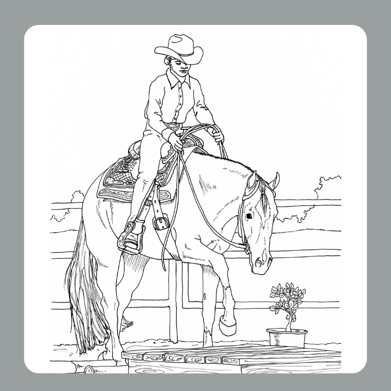 tô màu con ngựa 21