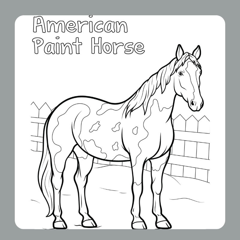 tô màu con ngựa 22