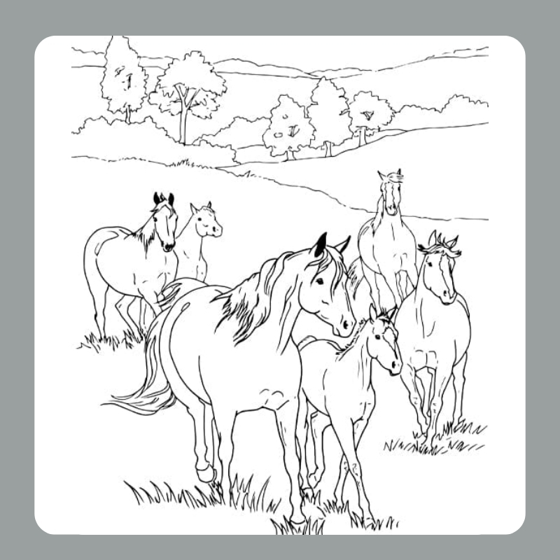 tô màu con ngựa 23