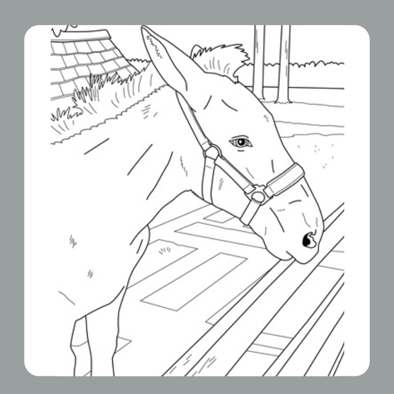 tô màu con ngựa 25