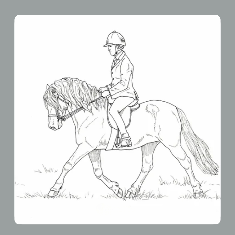 tô màu con ngựa 26