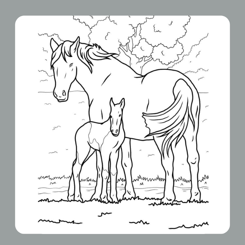 tô màu con ngựa 3