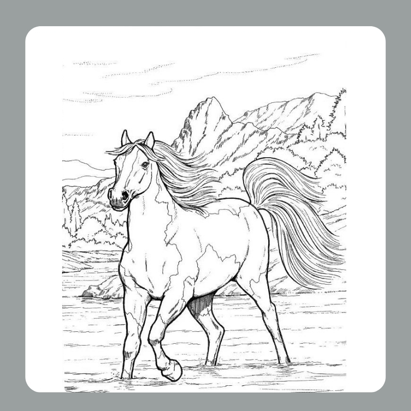 tô màu con ngựa 8