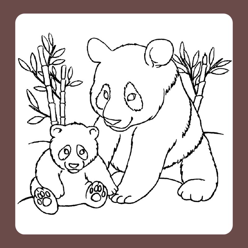 tô màu gấu trúc (11)