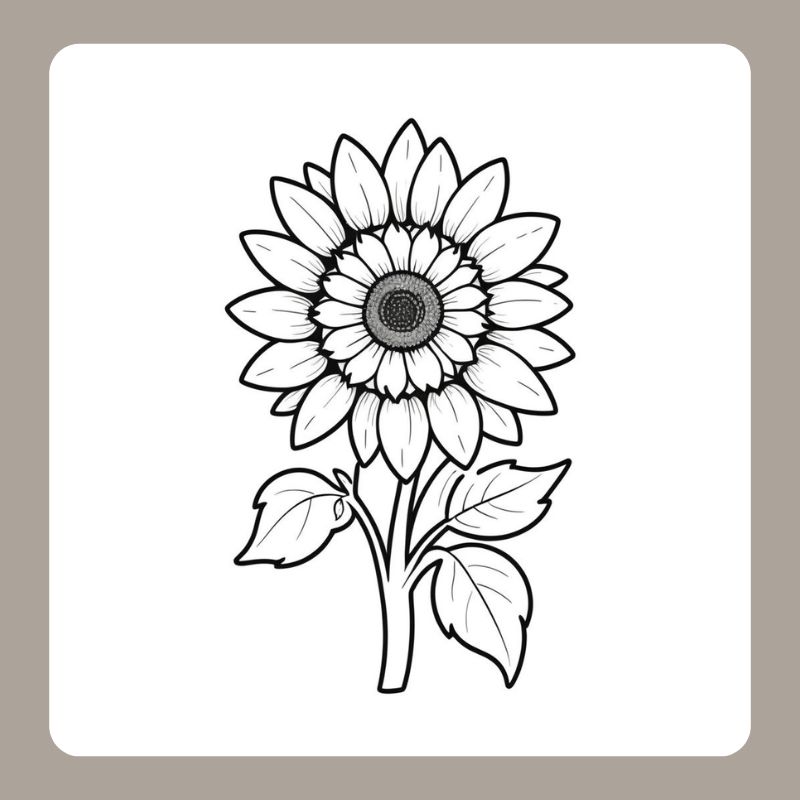 tô màu hoa hướng dương 11