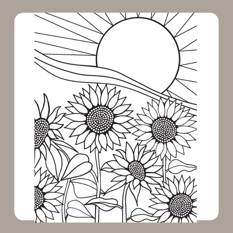 tô màu hoa hướng dương 15