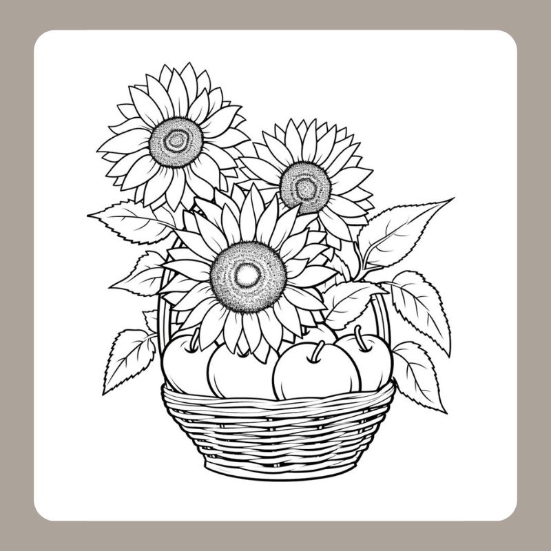 tô màu hoa hướng dương 16