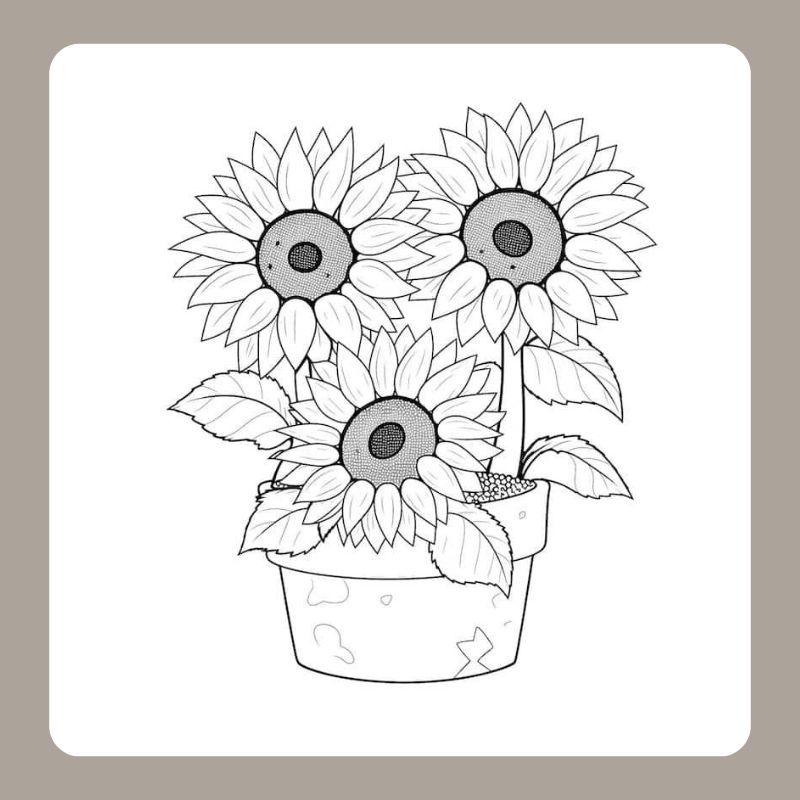tô màu hoa hướng dương 17