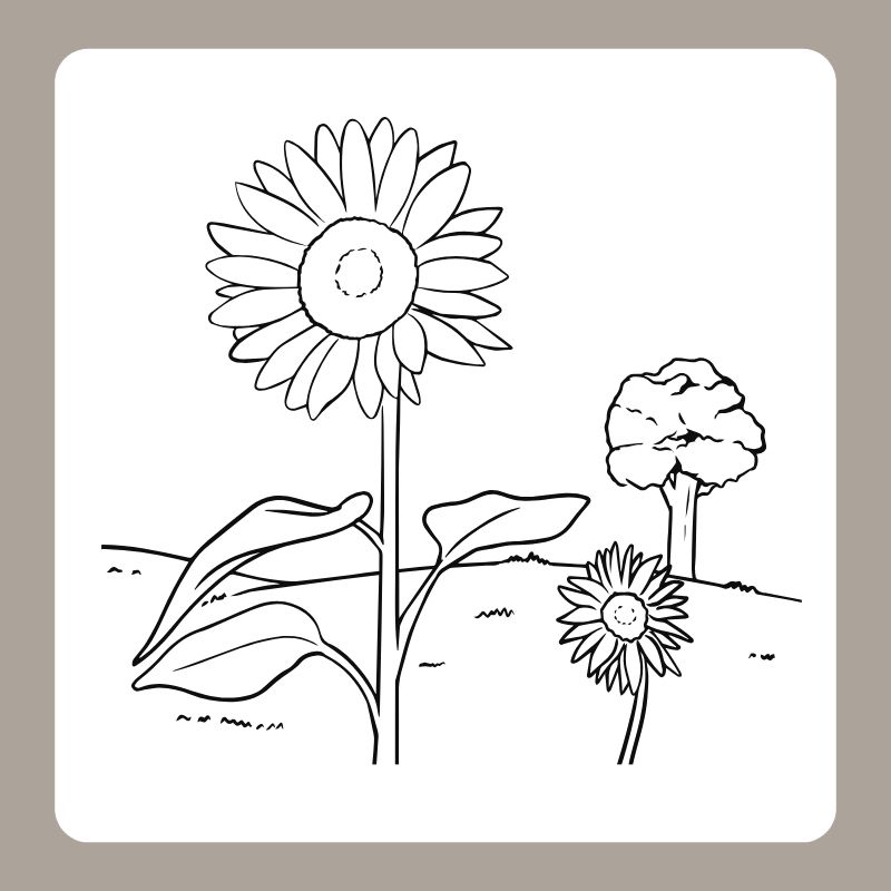 tô màu hoa hướng dương 2